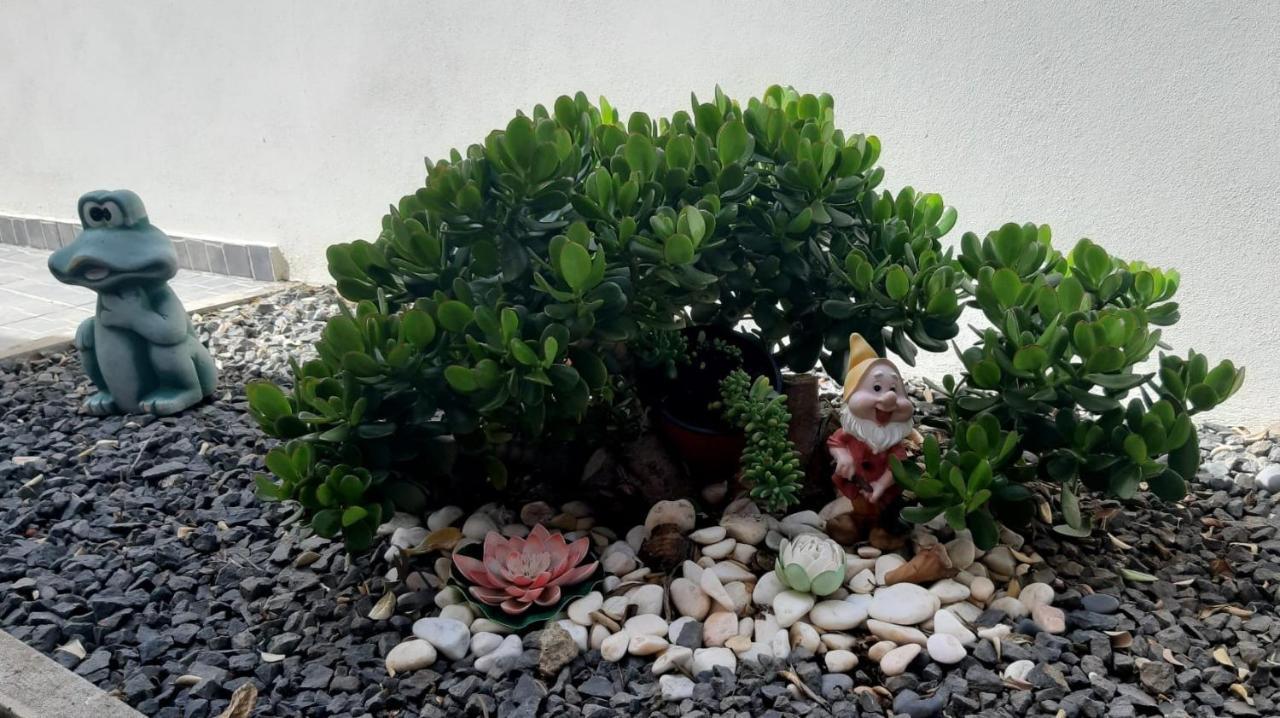 滨海雅尔丁Casa D' Avo Zeza公寓 外观 照片