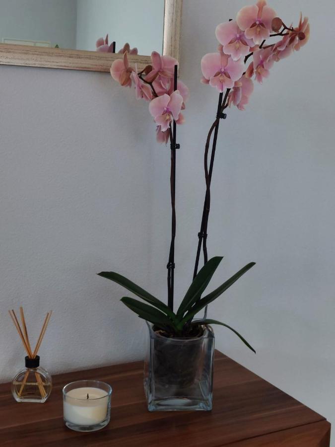 滨海雅尔丁Casa D' Avo Zeza公寓 外观 照片